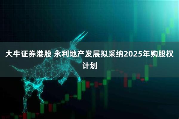 大牛证券港股 永利地产发展拟采纳2025年购股权计划