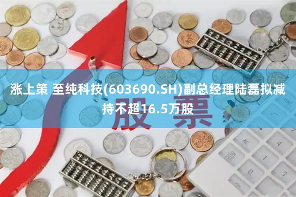 涨上策 至纯科技(603690.SH)副总经理陆磊拟减持不超16.5万股