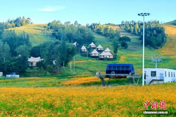 锦富优 宁夏泾源：农文旅融合“多点开花” 绘就振兴好“钱”景